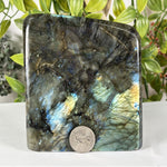 Labradorite Gemstone Freeform - RPS620