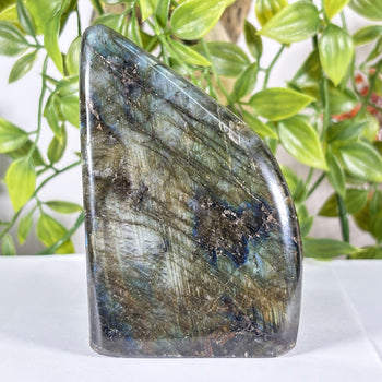 Labradorite Gemstone Freeform - RPS621