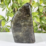 Labradorite Gemstone Freeform - RPS621