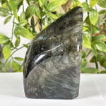 Labradorite Gemstone Freeform - RPS621