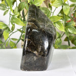 Labradorite Gemstone Freeform - RPS621