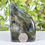 Labradorite Gemstone Freeform - RPS621