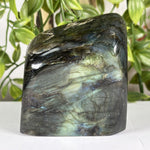 Labradorite Gemstone Freeform - RPS625