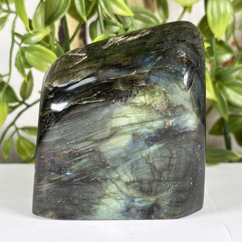 Labradorite Freeform Crystal - Gem Avenue Retail