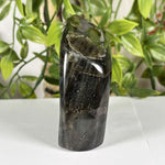 Labradorite Gemstone Freeform - RPS625