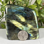 Labradorite Gemstone Freeform - RPS625
