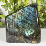 Labradorite Gemstone Freeform - RPS626