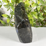 Labradorite Gemstone Freeform - RPS626