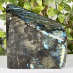 Labradorite Gemstone Freeform - RPS626