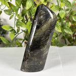 Labradorite Gemstone Freeform - RPS626