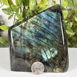 Labradorite Gemstone Freeform - RPS626
