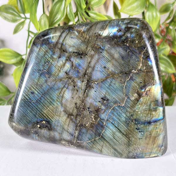 Labradorite Gemstone Freeform - RPS627