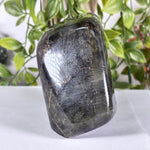 Labradorite Gemstone Freeform - RPS627