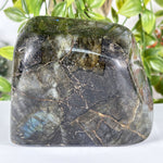 Labradorite Gemstone Freeform - RPS627