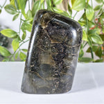 Labradorite Gemstone Freeform - RPS627
