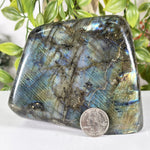 Labradorite Gemstone Freeform - RPS627