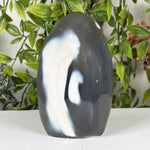 Orca Agate Gemstone Freeform - RPS632