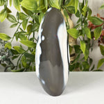 Orca Agate Gemstone Freeform - RPS632