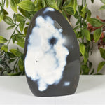 Orca Agate Gemstone Freeform - RPS632