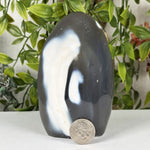 Orca Agate Gemstone Freeform - RPS632