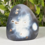 Orca Agate Gemstone Freeform - RPS633