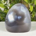 Orca Agate Gemstone Freeform - RPS633