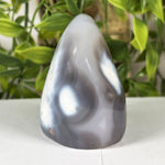 Orca Agate Gemstone Freeform - RPS633