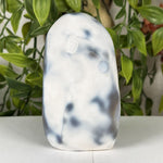 Orca Agate Gemstone Freeform - RPS634