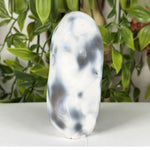 Orca Agate Gemstone Freeform - RPS634
