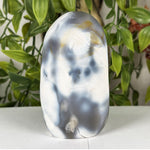 Orca Agate Gemstone Freeform - RPS634