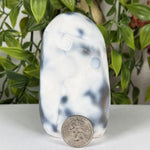 Orca Agate Gemstone Freeform - RPS634