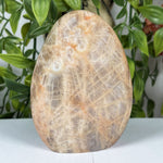 Moonstone Gemstone Freeform - RPS635
