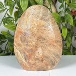 Moonstone Gemstone Freeform - RPS635