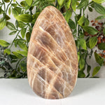 Moonstone Gemstone Freeform - RPS636