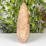 Moonstone Gemstone Freeform - RPS636
