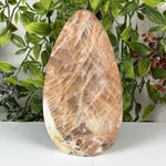 Moonstone Gemstone Freeform - RPS636