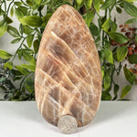 Moonstone Gemstone Freeform - RPS636