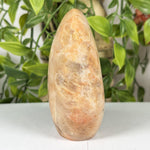 Moonstone Gemstone Freeform - RPS637