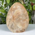 Moonstone Gemstone Freeform - RPS637
