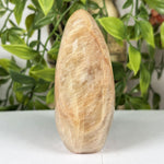 Moonstone Gemstone Freeform - RPS637