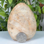 Moonstone Gemstone Freeform - RPS637