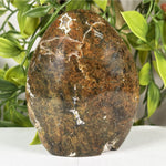 Sea Jasper Gemstone Freeform - RPS640