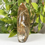 Sea Jasper Gemstone Freeform - RPS640