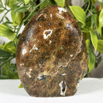 Sea Jasper Gemstone Freeform - RPS640