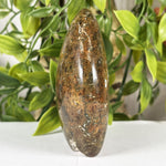Sea Jasper Gemstone Freeform - RPS640