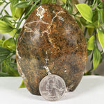 Sea Jasper Gemstone Freeform - RPS640