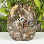 Sea Jasper Gemstone Freeform - RPS641