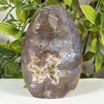 Sea Jasper Gemstone Freeform - RPS642