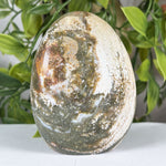 Sea Jasper Gemstone Freeform - RPS643