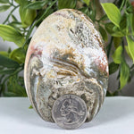 Sea Jasper Gemstone Freeform - RPS643